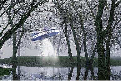 《潜水员戴夫》全中文手机版首曝 现已开启预约